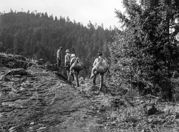 Bringing in the Bucks - 1914