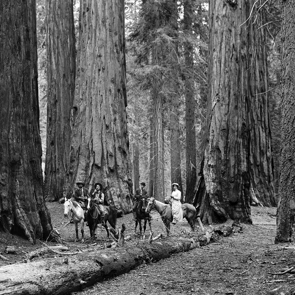 Riders - 1910